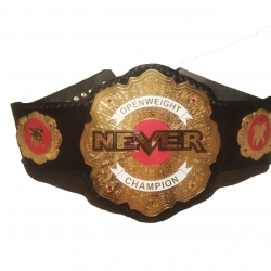 Wrestling Belts